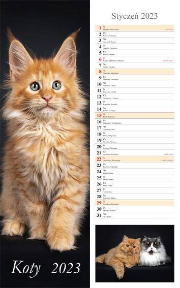 Kalendarz 2023 paskowy Koty
