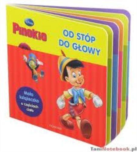 Pinokio  Od stóp  do głowy