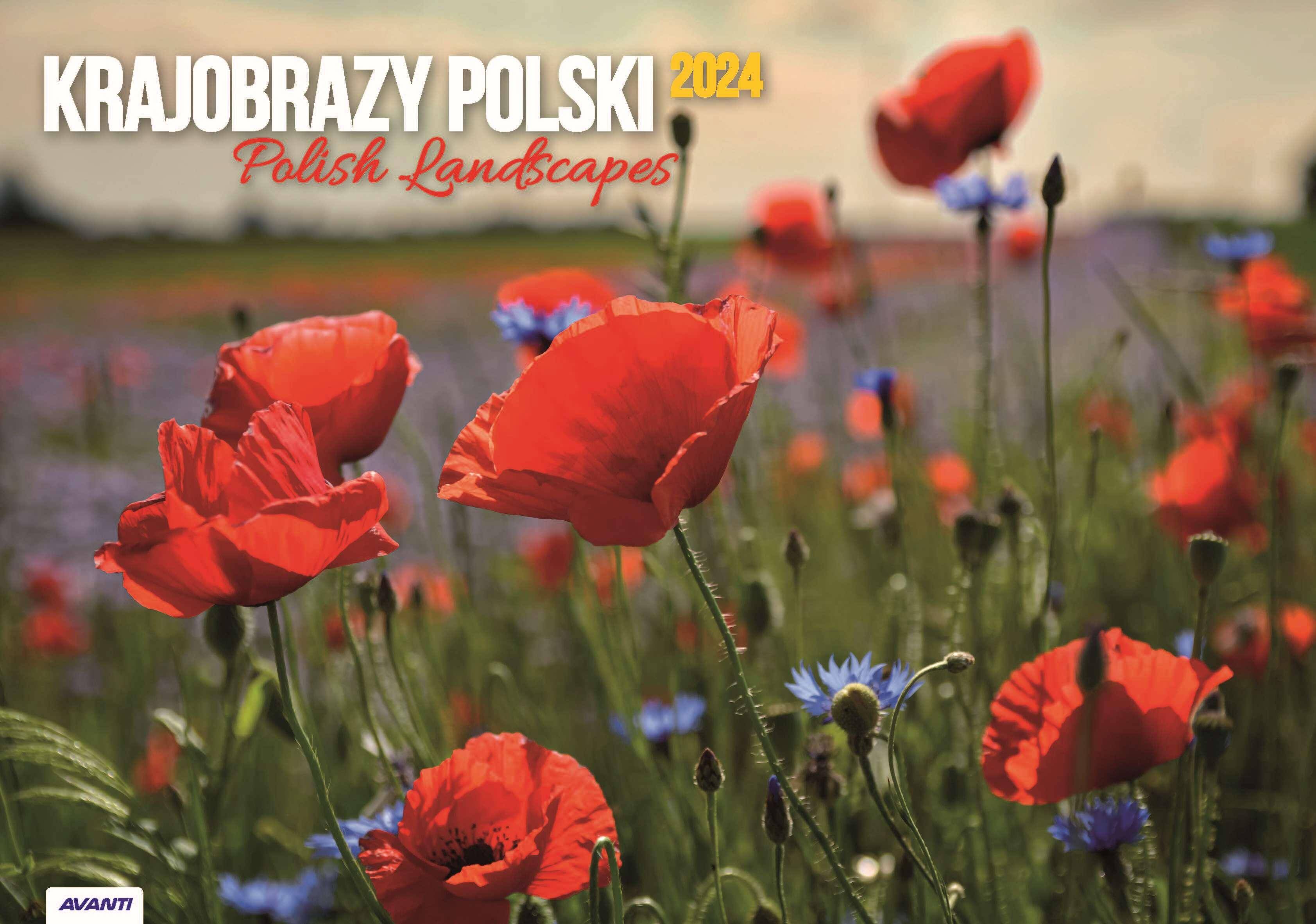 Kalendarz 2024 Krajobrazy Polski albumowy KA7
