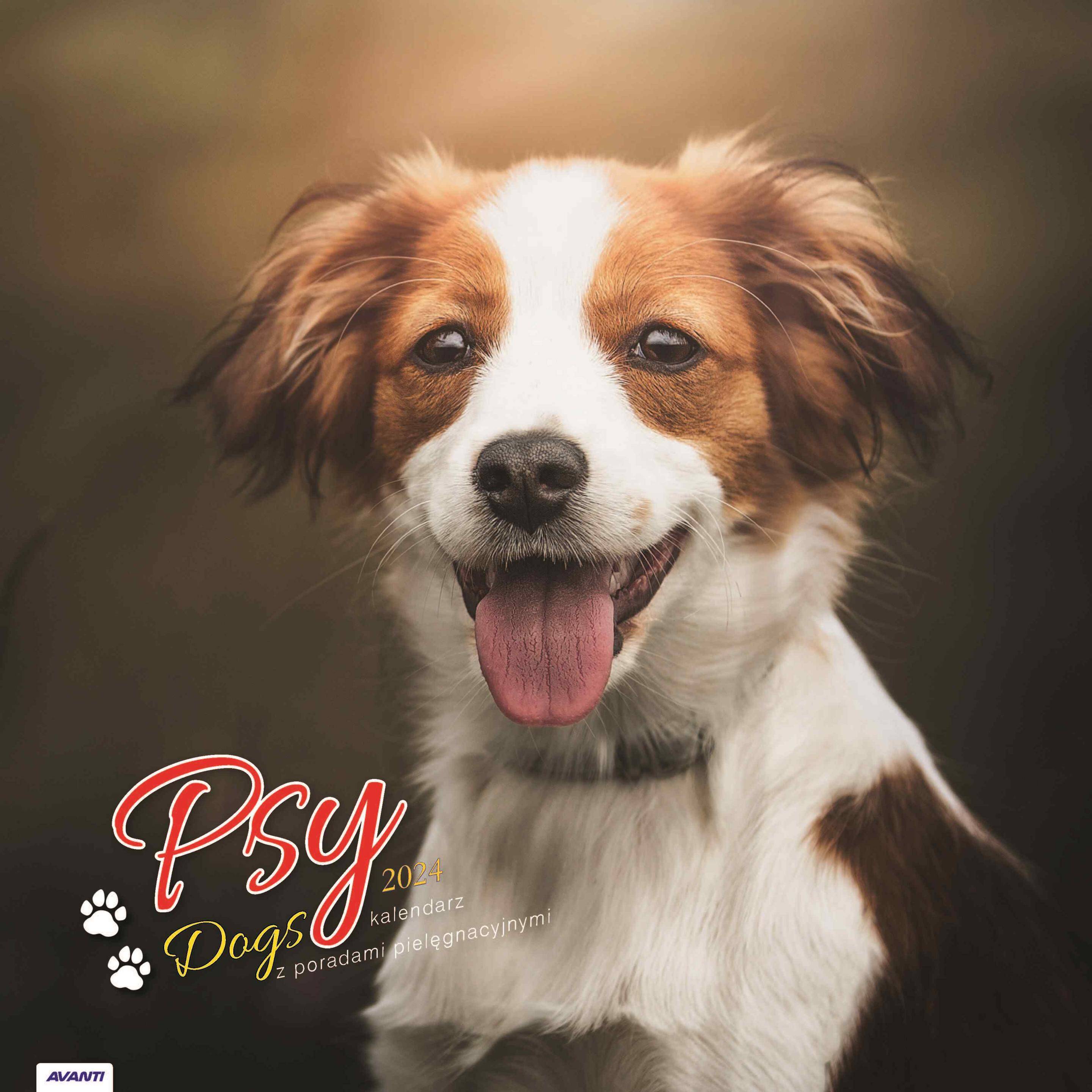 Kalendarz 2024 Psy z poradami albumowy duży KAD10
