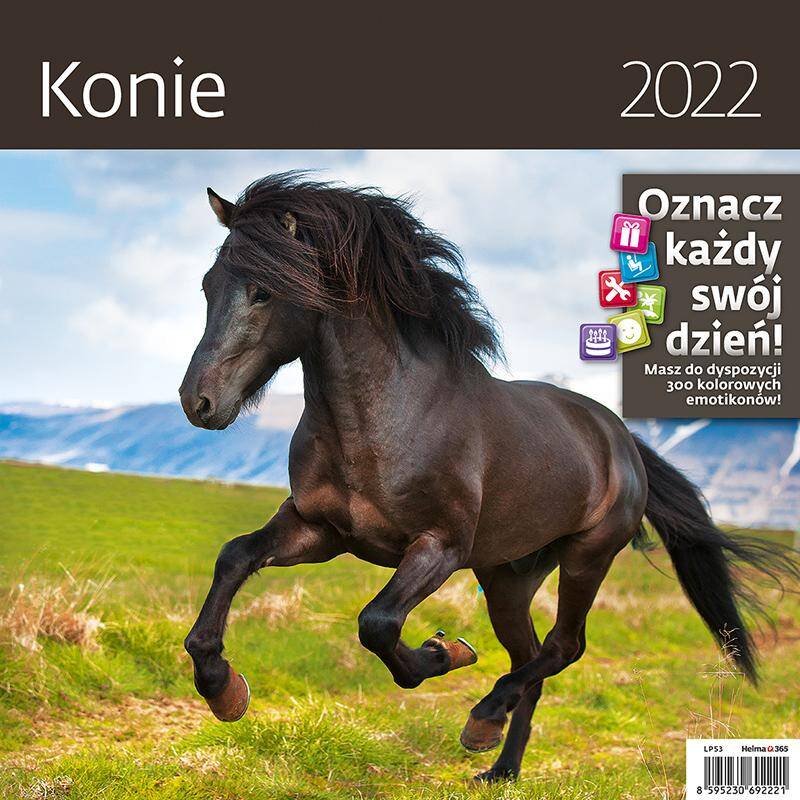 Kalendarz 2022 12 planszowy Konie