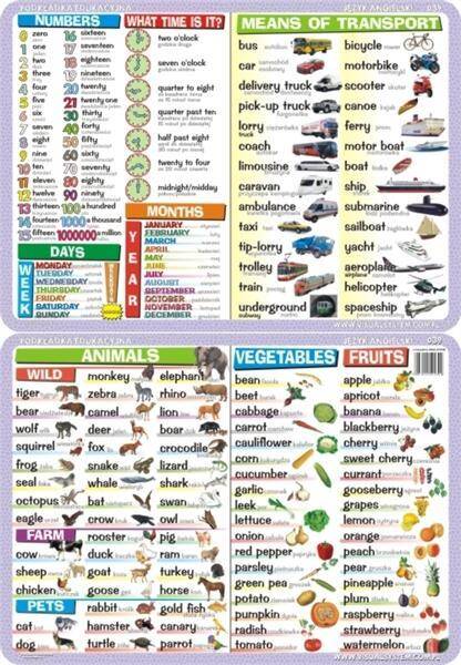 Podkładka edukacyjna 039 język angielski owoce warzywa zwierzęta