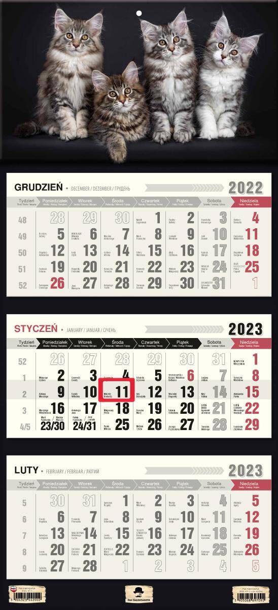 Kalendarz 2023 trójdzielny KT-1 kotki V30