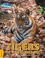 Tigers of Ranthambore Gold Band