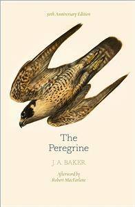 The Peregrine: 50th Anniversary Edition : Afterword by Robert Macfarlane