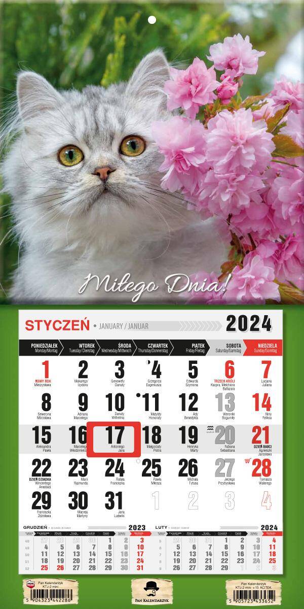 Kalendarz 2024 jednodzielny z magnesem mini Kotek KTJ2M-V.15