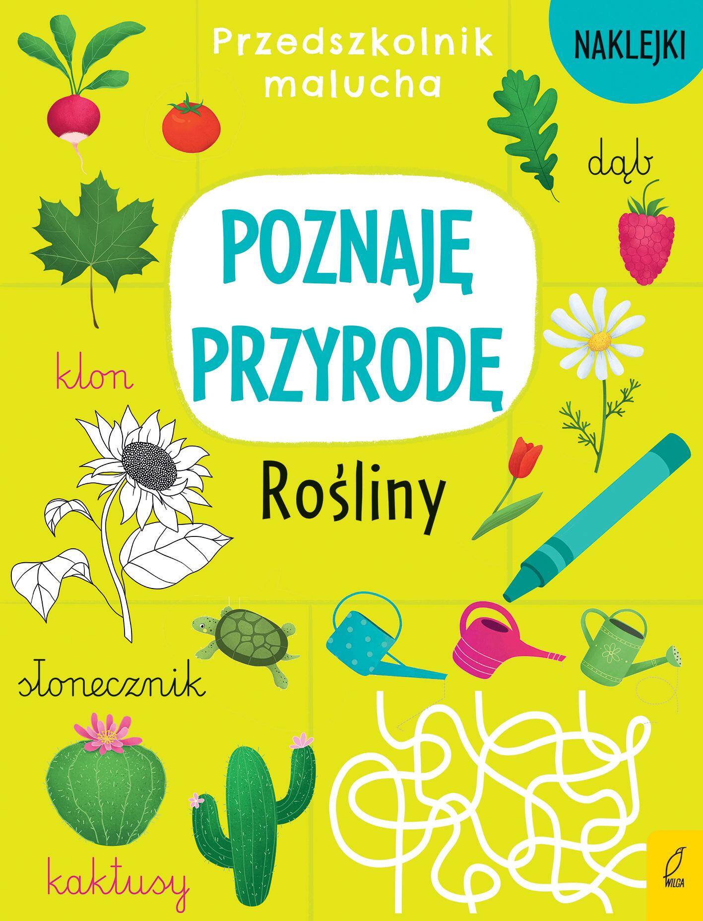 Przedszkolnik malucha. Poznaję przyrodę. Rośliny