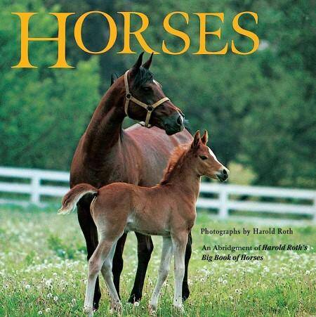 Horses : An Abridgement of Harold Roth's Big Book of Horses