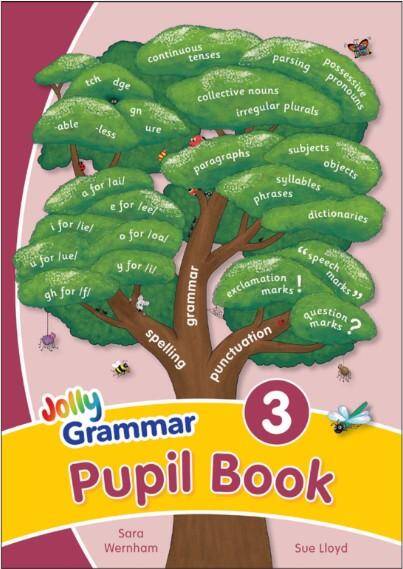 Grammar 3 Pupil Book: In Precursive Letters