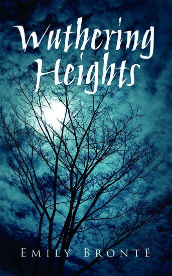 Rollercoasters: Wuthering Heights Reader (School edition - Flexicover)
