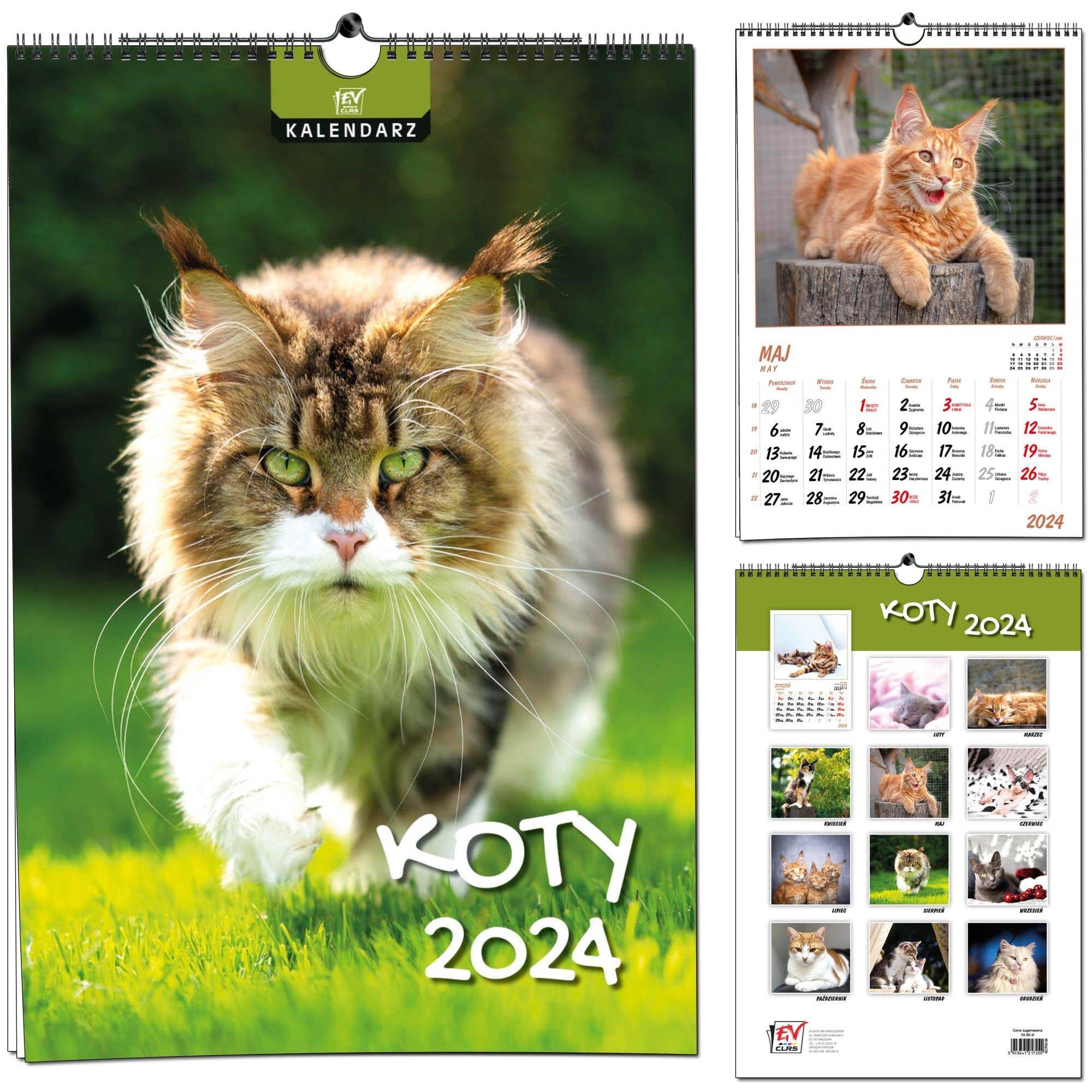 Kalendarz 2024 ścienny B3 7 planszowy Koty