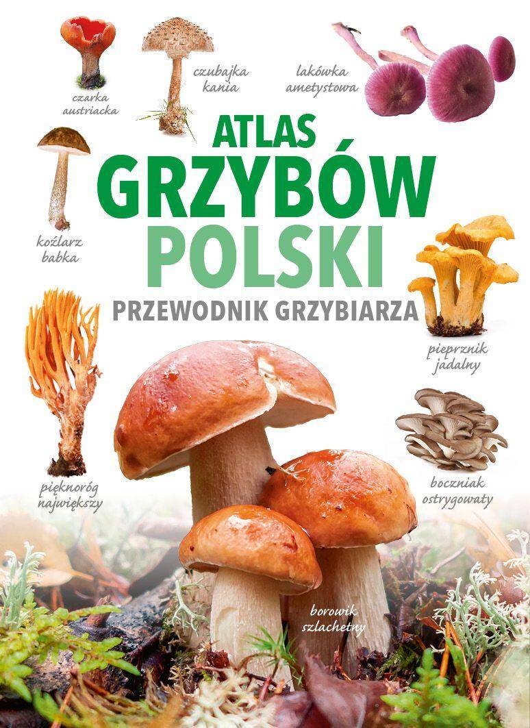 Atlas Grzybów Polski
