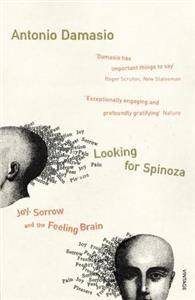 Looking For Spinoza : Joy, Sorrow and the Feeling Brain