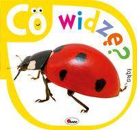 Co widzę Łąka