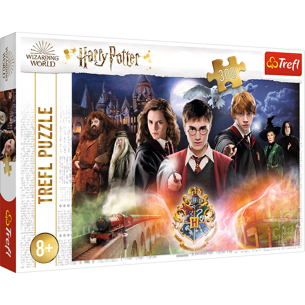 Puzzle 300 Tajemniczy Harry Potter 23001