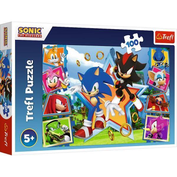Puzzle 100el Poznaj Sonica / SEGA Sonic The Headgehog 16465 Trefl