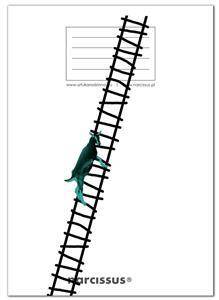 Zeszyt A5 60 kratka PP Fun Goat Ladder