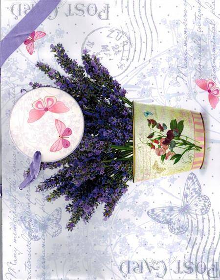 Torba Flowering Lavender small horizontal AGB002718