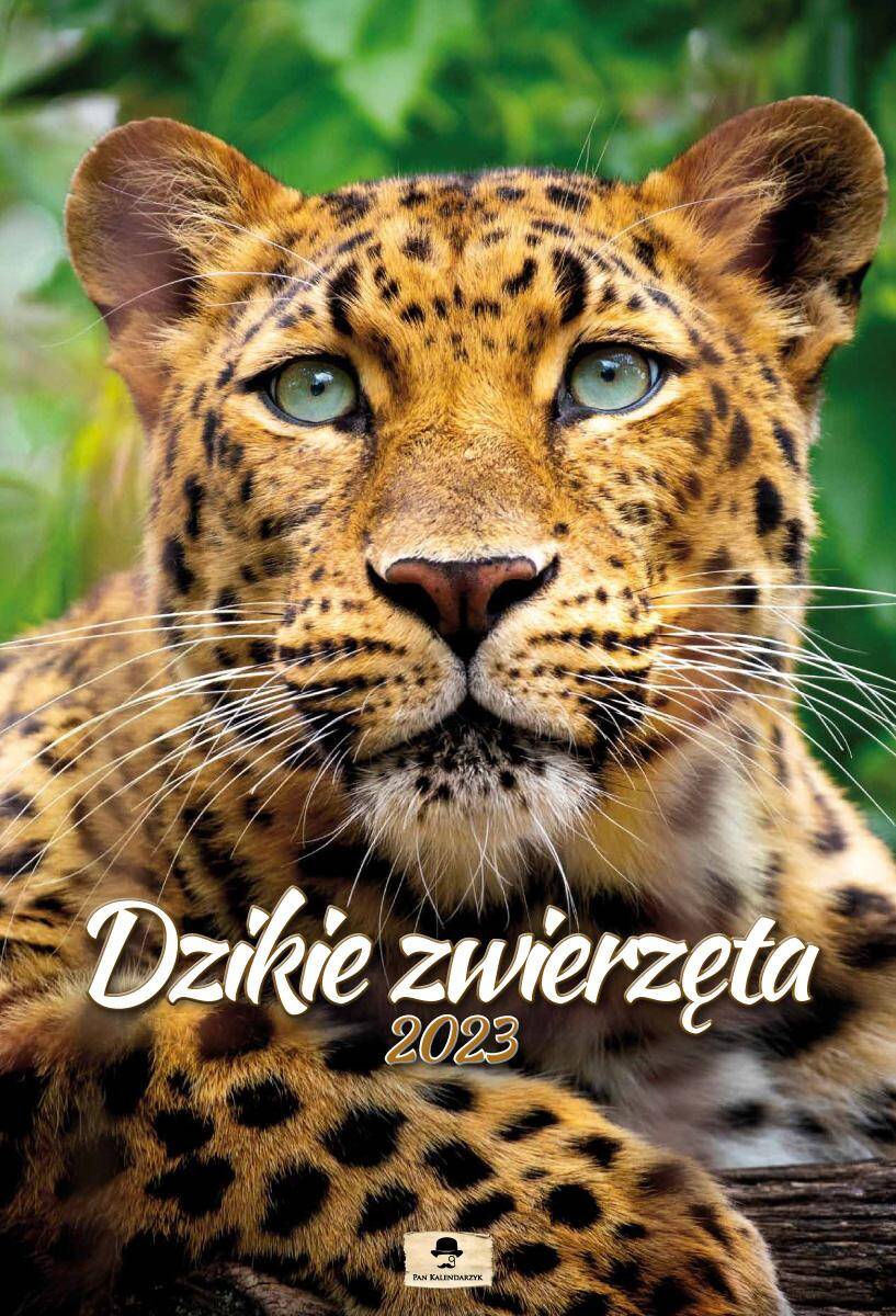 Kalendarz 2023 ścienny A3 dwustronny Dzikie Zwierzęta V11