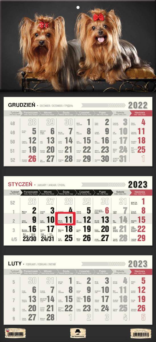 Kalendarz 2023 trójdzielny KT-1 yorki V28