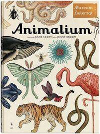 Animalium atlas zwierząt