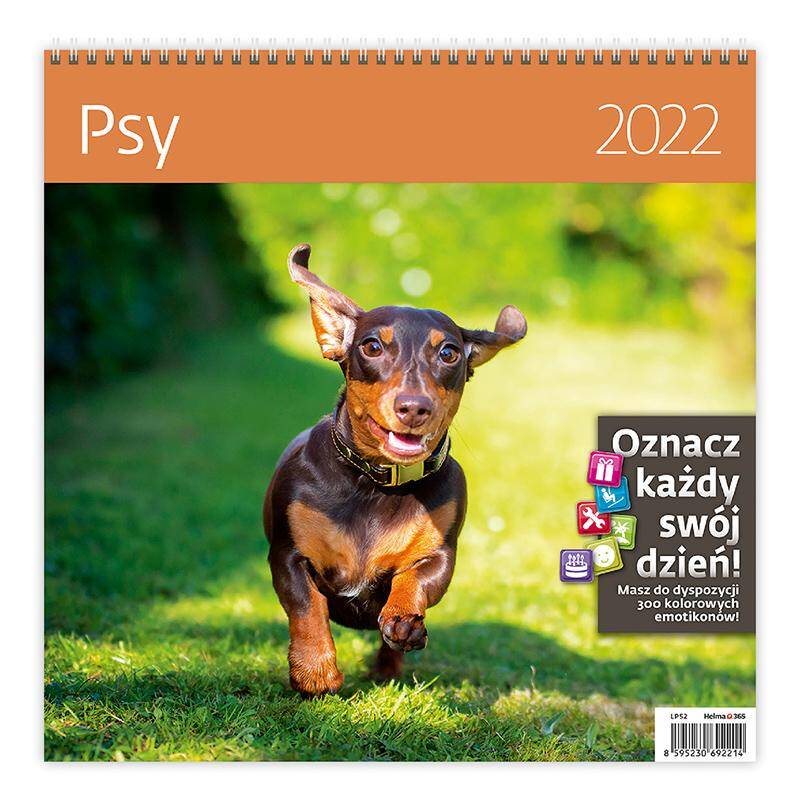 Kalendarz 2022 12 planszowy Psy
