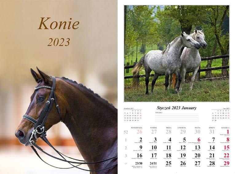 Kalendarz 2023 ścienny 7-K Konie ścienny