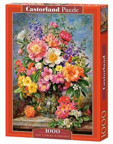 Puzzle 1000 el C-103904-2 June Flowers in Radiance