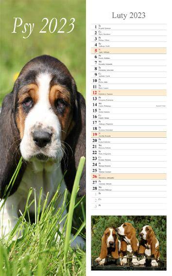 Kalendarz 2023 paskowy Psy
