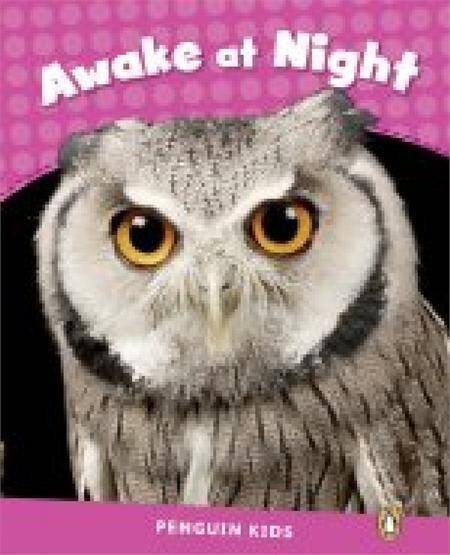 Penguin English Kids Readers Level 2  Awake At Night CLIL