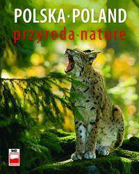 Polska przyroda Poland nature