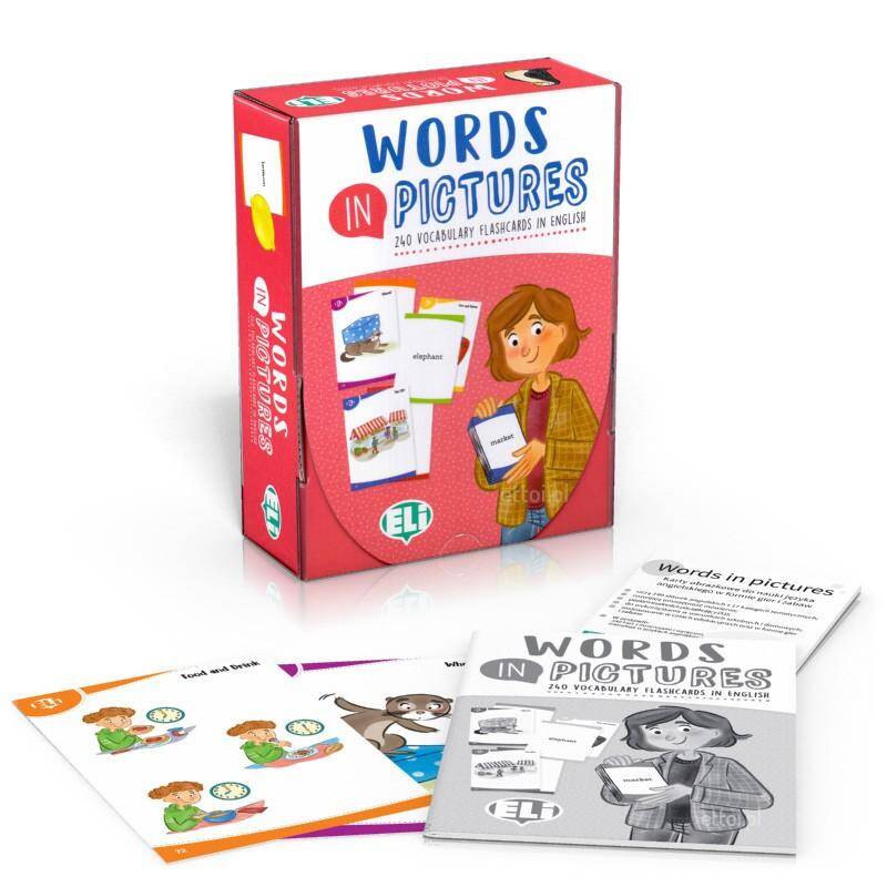 FLASHCARDS Words in pictures (angielski)