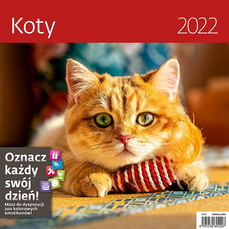 Kalendarz 2022 12 planszowy Koty