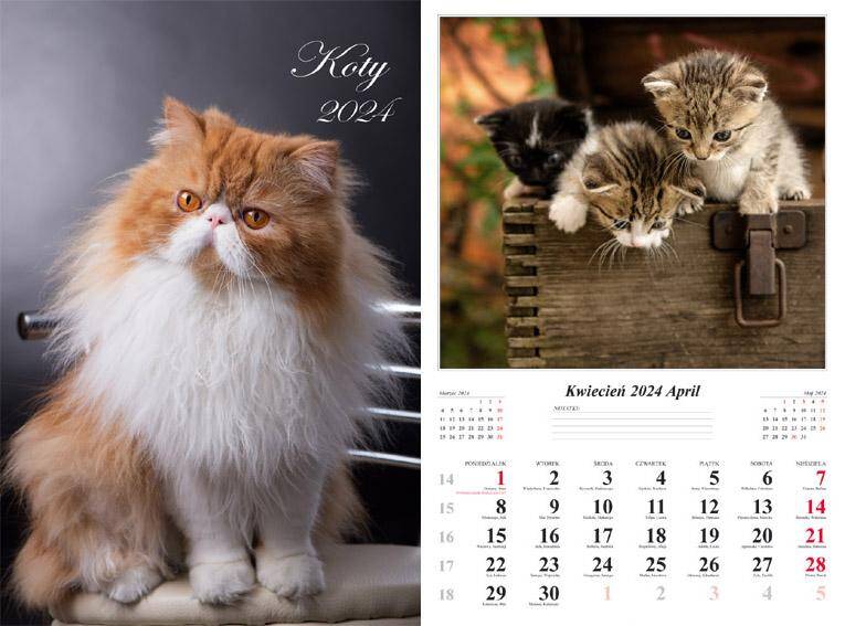 Kalendarz 2024 ścienny 7-K Koty