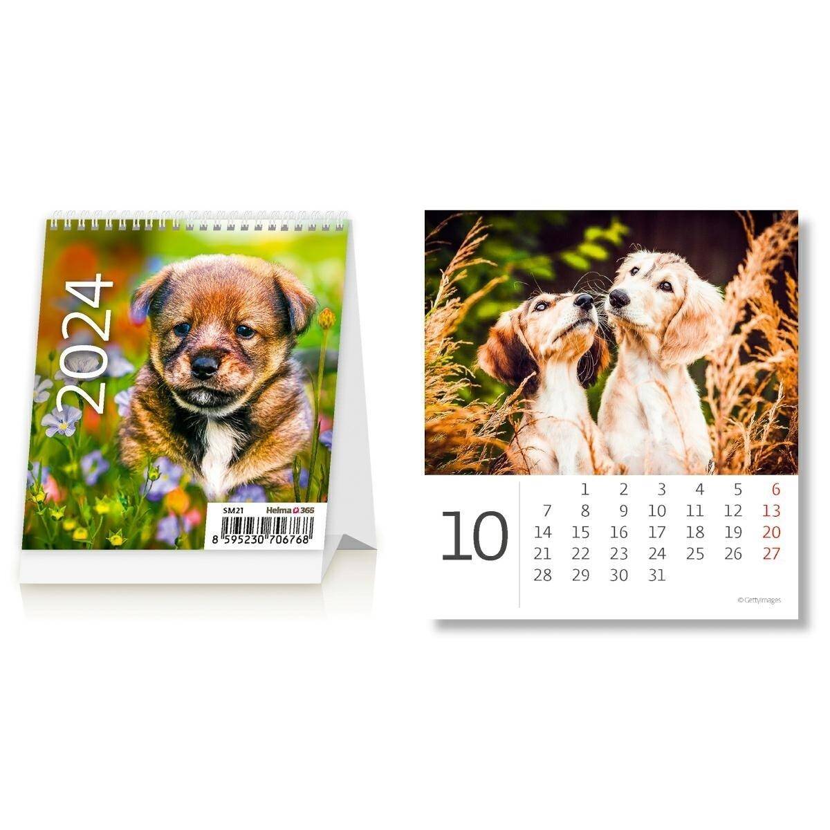 Kalendarz 2024 biurkowy mini Pieski miesięczny