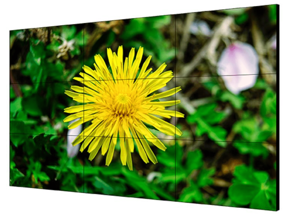 DS-D2055LE-G Monitor 55