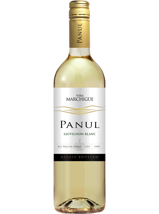 Panul Sauvignon Blanc Chile Białe Wytrawne