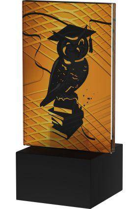 Mini trophy – Amber Line – Education