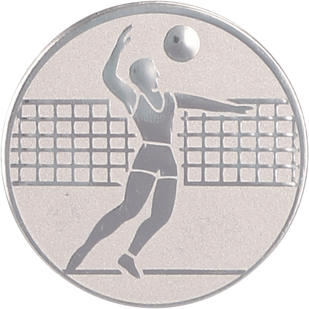 Wklejka aluminiowa - siatkówka mężczyzn