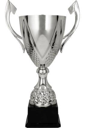 Metal cup silver