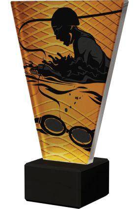 Glass award – swimming