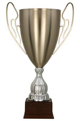 Metal cup silver