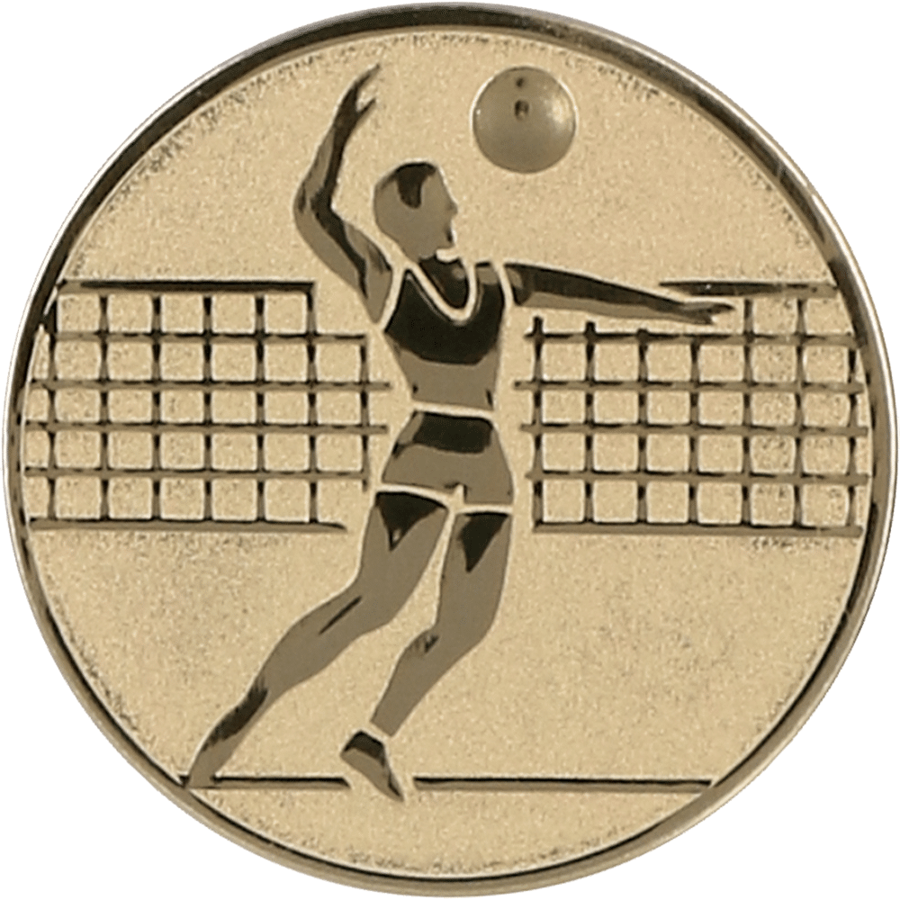 Aluminum emblem - voleyball