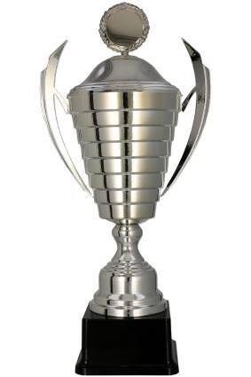 Silver metal cup with lid