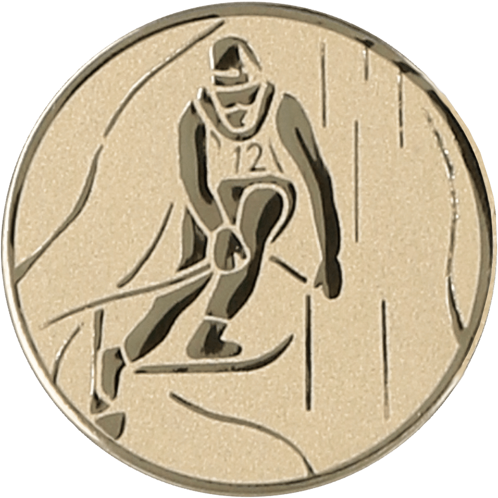 Aluminum emblem - skiing