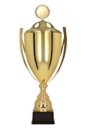 Gold metal cup with lid