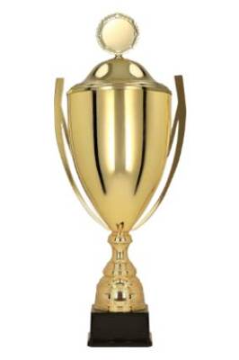 Gold metal cup with lid