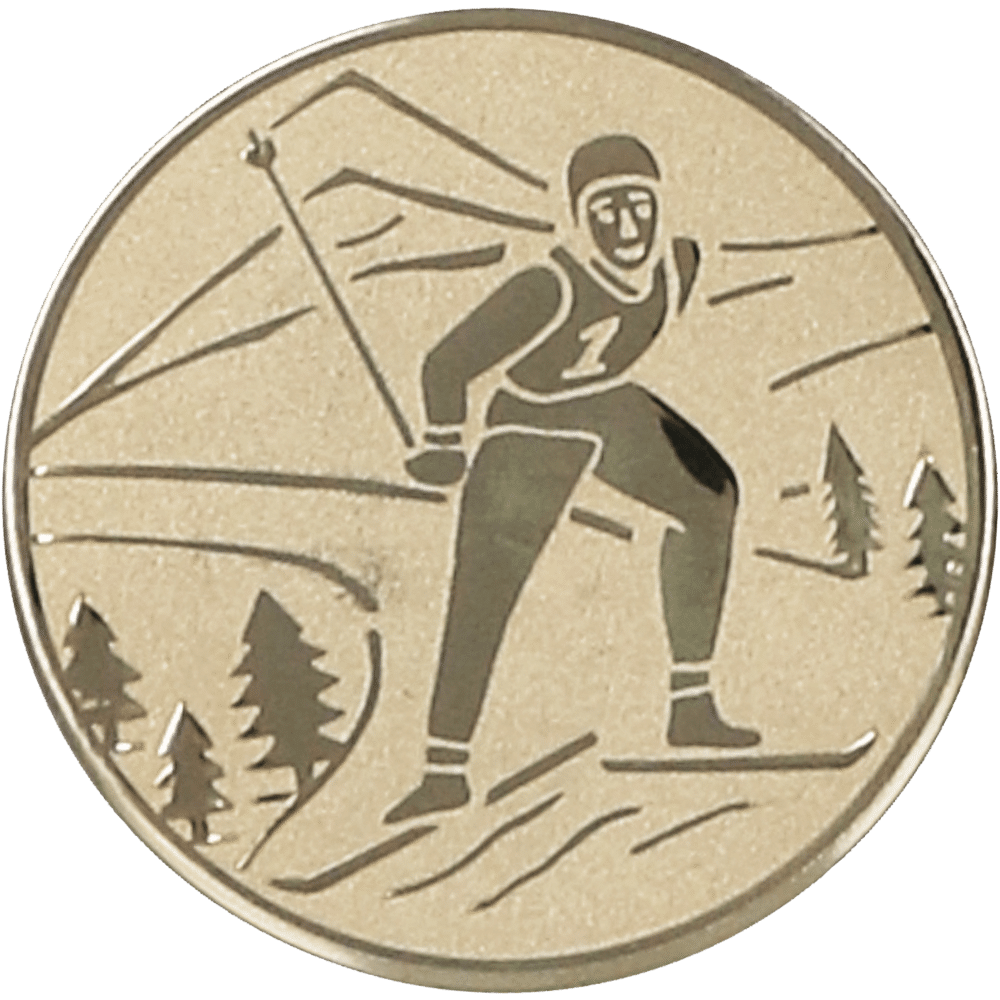 Aluminum emblem - skiing