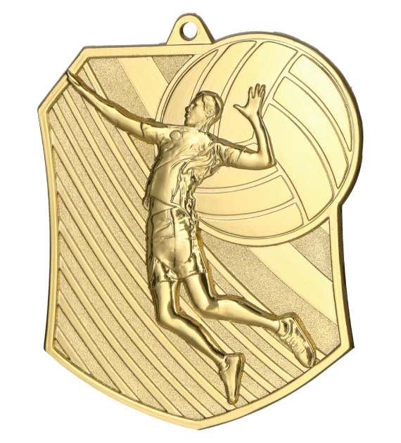 Gold medal - volleyball