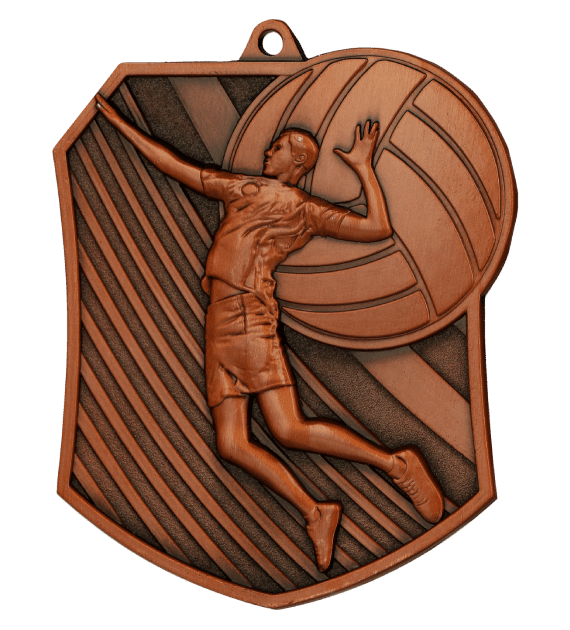 Medal brązowy - siatkówka